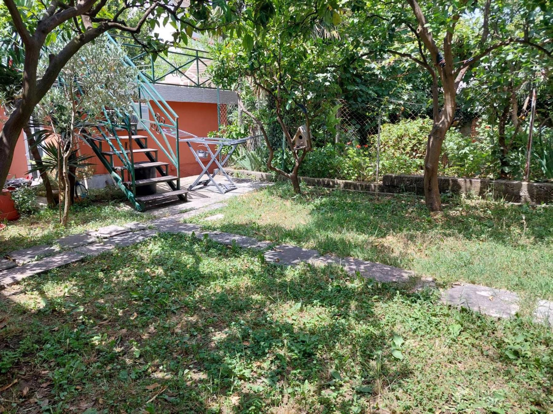 Garden Apartmant Near Sea Kotor Rum bild