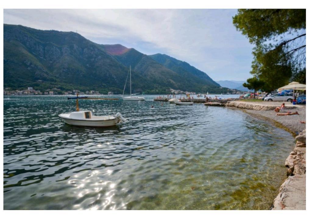 Garden Apartmant Near Sea Kotor Exteriör bild