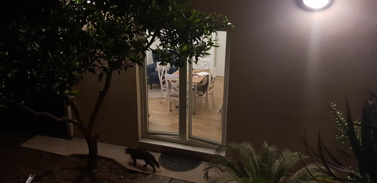 Garden Apartmant Near Sea Kotor Exteriör bild