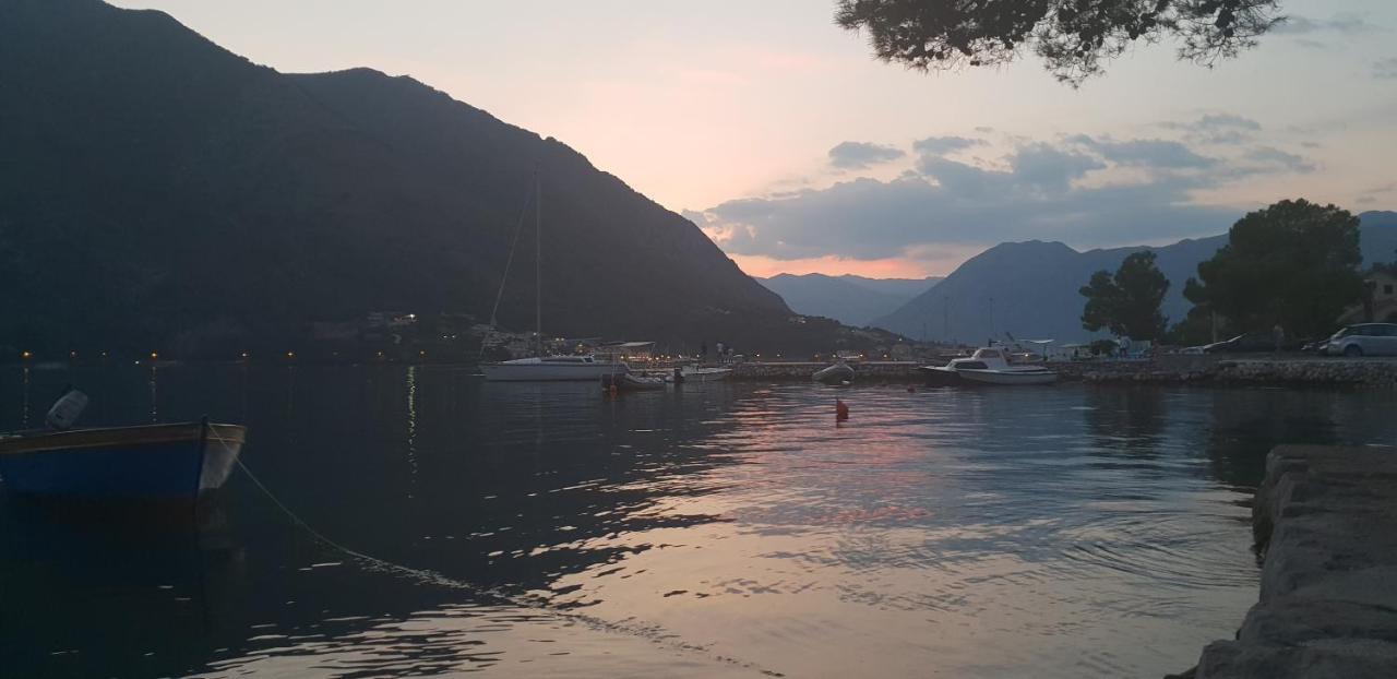 Garden Apartmant Near Sea Kotor Exteriör bild